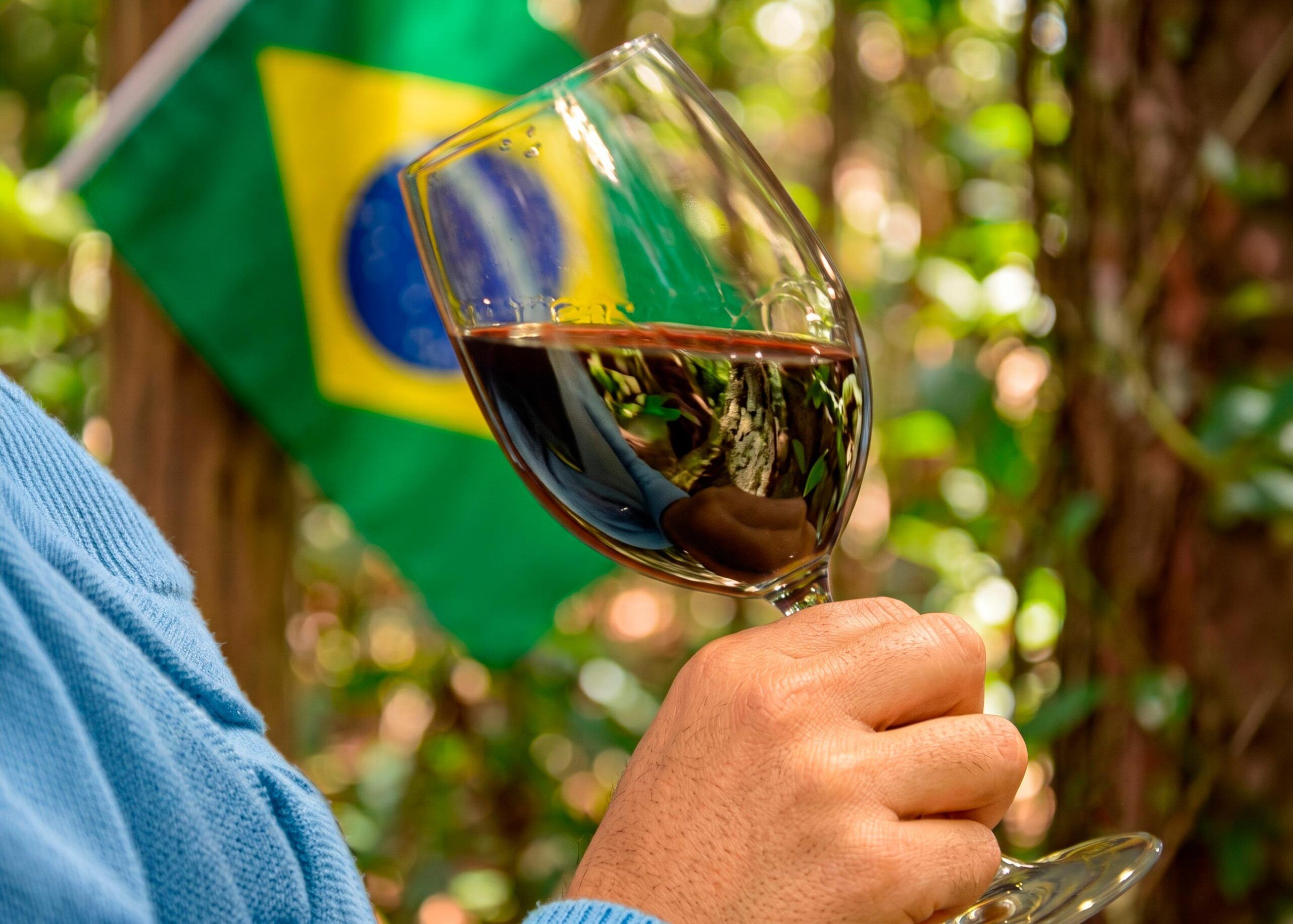 Por que vinho é tão caro no Brasil?